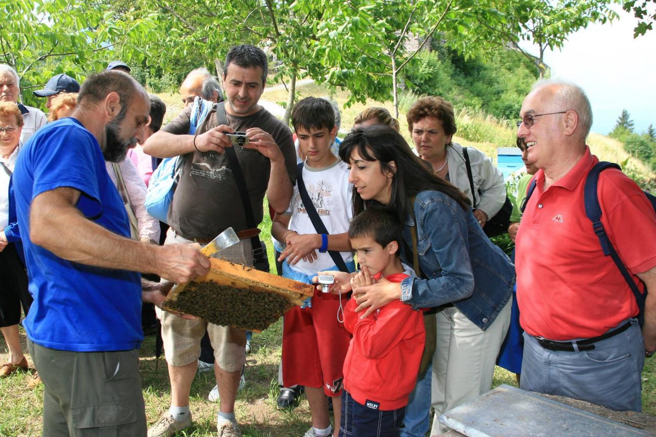 Scopri il Magico Mondo delle Api con le Nostre Visite Guidate